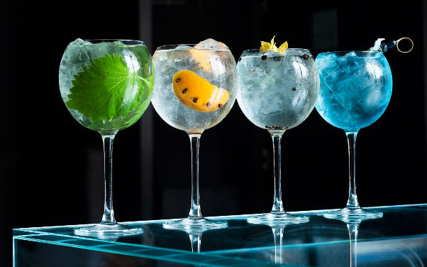 Cata de Gin Tonic